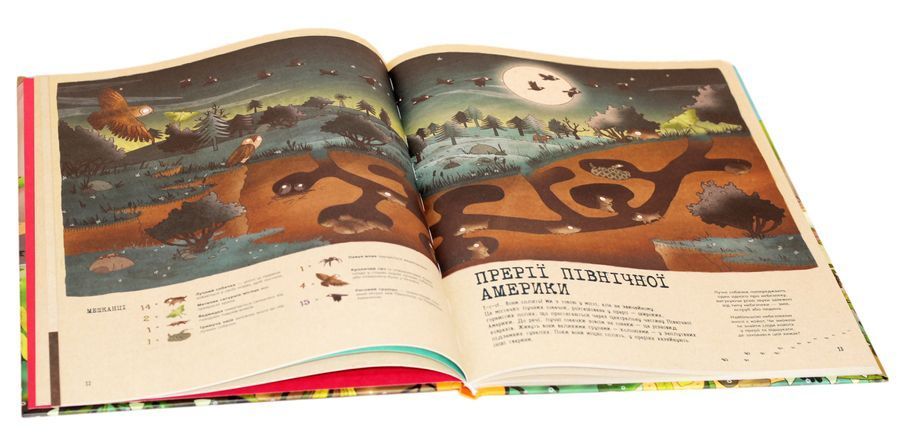 Книга "Подорож до дивовижного світу тварин" giftbook01 фото